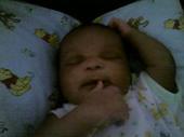 Delatoria Brown