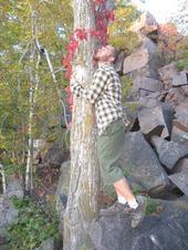 David Rivard