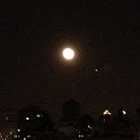 Marin Pesa
