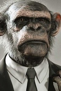 Alan Newpoff