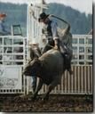 Taylor Ammons
