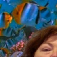 Judy Bowles