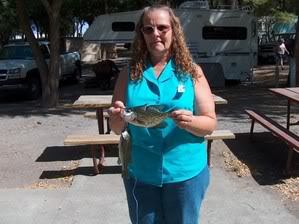Kim Miller