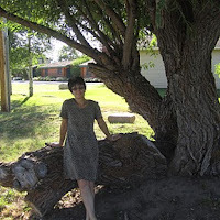 Nadina Novenschi