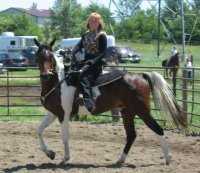 Tammy Stoel