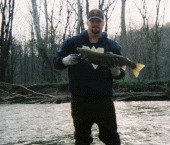 Michael Hustead