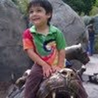 Nishith Shah