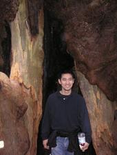 Yuhki Tajima