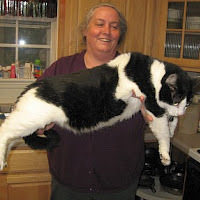 Barbara Friskey