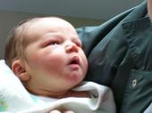 Joshua Callon