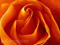 Cheryl Embury