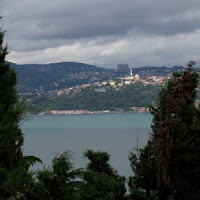 Ambereen Dadabhoy