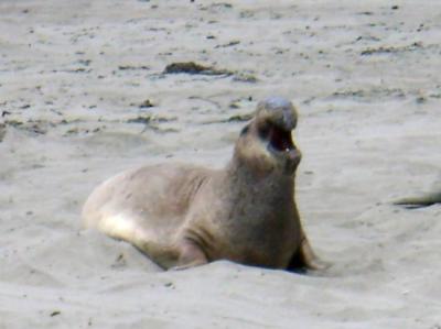 Kenneth Churning