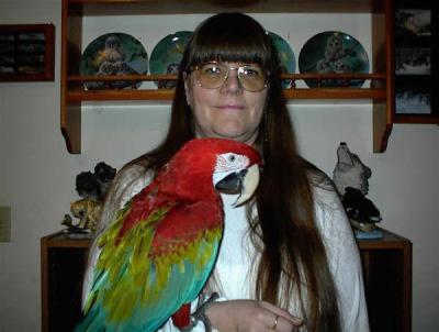 Deborah Erwin