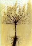 April Densmore