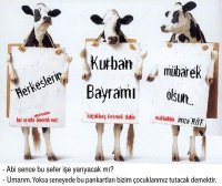 Serkan Ozeken