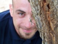 Tomer Naftali