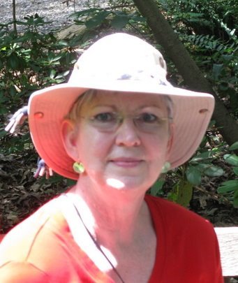 Debra Altchuler