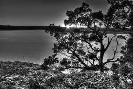 Garth Clark