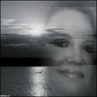 Shawna Byrd
