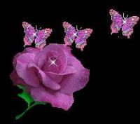 Darleen Willis