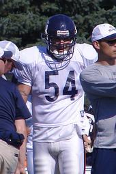 Brian Urlacher