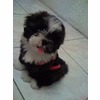 Emylyn Noma