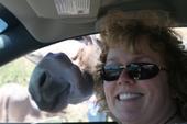 Carol Phillips
