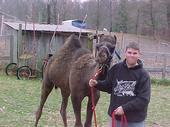 Kyle Depue