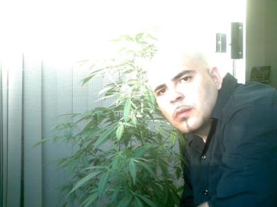 Julio Montes