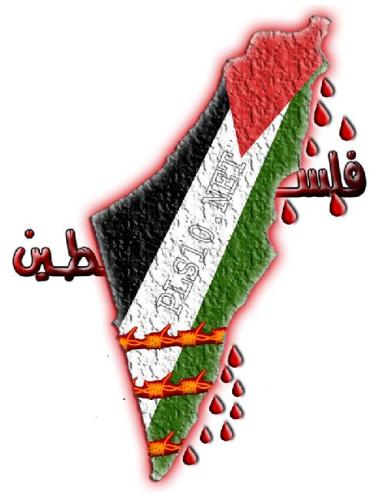 Hamada Eltatawy