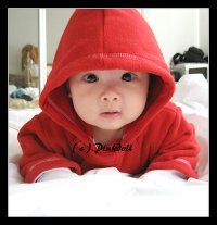 Rizq Haddad
