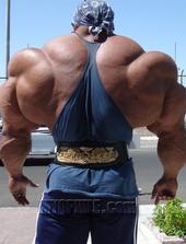 Brian Stischok