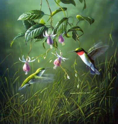 Jennifer Fedder