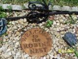 Robin Robins