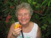 Liz Yorke