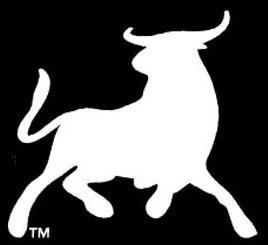 Jason Bull