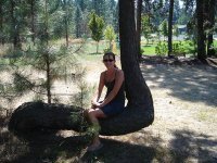 Ann Doyon