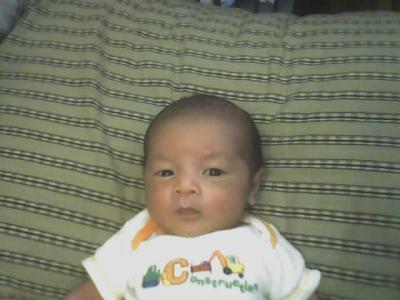 Mume Phung