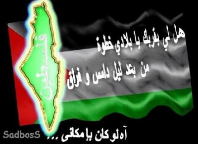 Safa Ayyoub
