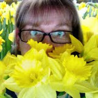 Jennifer Bradley