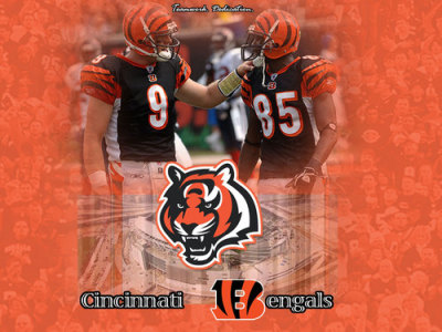 Robert Hoyer