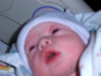 Donnette Hardee