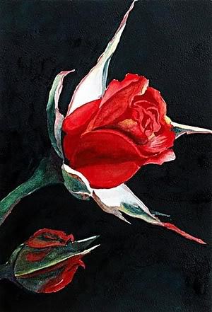 Recheal Allamby