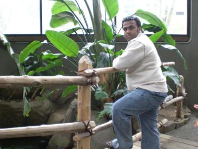 Mohammed Alshawi