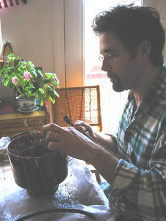 Daniel Dheilly