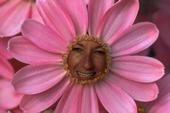 Eileen Black
