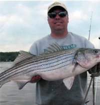 Scott Kress