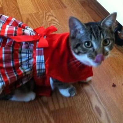 Karen Kittell