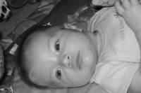 Lexi Isaacson